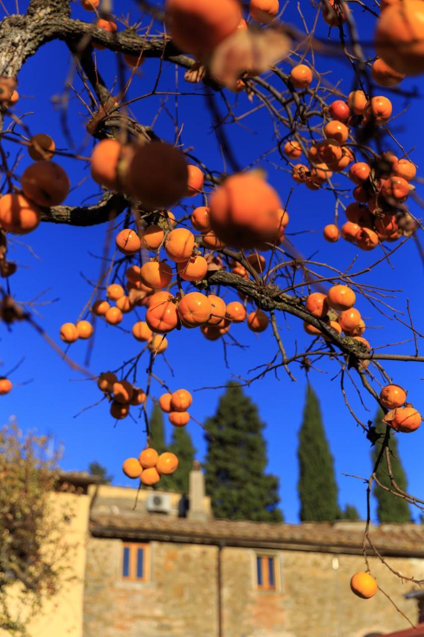 Agriturismo Fattoria Santo Stefano Greve in Chianti Exterior photo